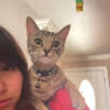 mimilovesfigs